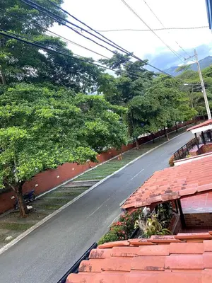an empty street with trees on the side of a road at Apartasol San Jeronimo in San Jerónimo
