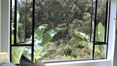 a window with a view of a forest at Hotel Termales Tierra Viva in Manizales