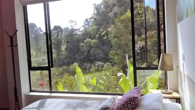 a bedroom with a window with a view of a forest at Hotel Termales Tierra Viva in Manizales