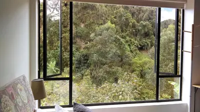 a window in a room with a view of a forest at Hotel Termales Tierra Viva in Manizales