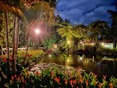 a park at night with a pond and palm trees at Finca Turística de Alojamiento Rural Avalon in Jardin