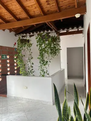 a room with a white wall with plants on it at Hospedaje la Glorieta in Santa Fe de Antioquia