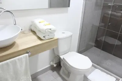 a bathroom with a toilet and a sink and a shower at Hotel Boutique Plaza in Medellín