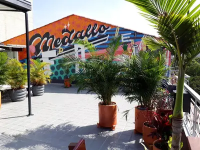 a group of potted plants in front of a building at Noah boutique hostels Medellín in Medellín