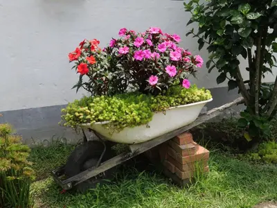 a pot of flowers sitting on a wheelbarrow at Patio Bonito in Jardin