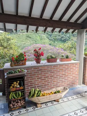a display of fruits and vegetables on a brick wall at Patio Bonito in Jardin