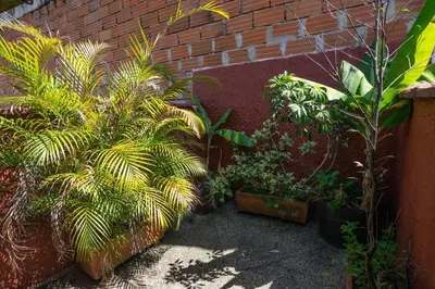 a group of plants sitting next to a brick wall at Oasis en el corazón de Medellin, Laureles in Medellín