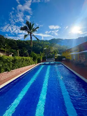 a blue swimming pool with a palm tree in the background at Hotel Campestre la Playa in Betania