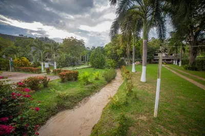 a dirt path through a park with palm trees at Hotel San Sebastian del Tonusco in Santa Fe de Antioquia