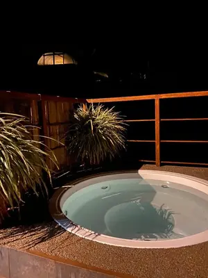 a jacuzzi tub on a deck with two plants at Finca Hotel Los Guayacanes in San JosÃ©
