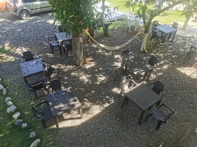 a group of chairs and tables and a tree at Hosteria El Castellano in Santa Fe de Antioquia