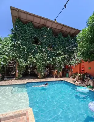 a person swimming in a swimming pool with a tree at Hotel Casa de Verano - Solo adultos - in Santa Fe de Antioquia