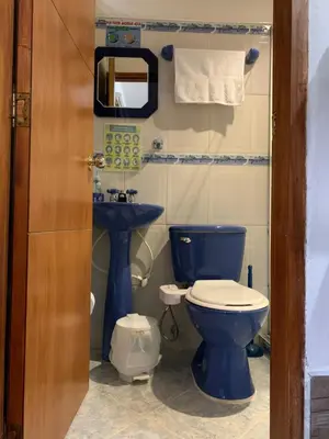 a bathroom with a blue toilet and a sink at Casa Huespedes EL ENSUEÑO in Jardin