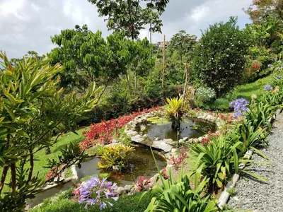 a garden with a pond with flowers and plants at Lodge Paraíso Verde in Manizales