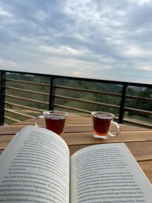an open book on a table with two cups of coffee at La Manola Finca Hotel in Doradal