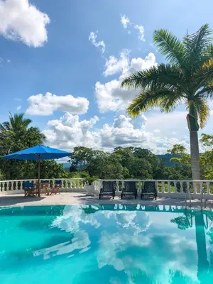 a swimming pool with chairs and a palm tree at La Manola Finca Hotel in Doradal