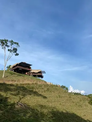 a building on top of a hill with a tree at La Manola Finca Hotel in Doradal