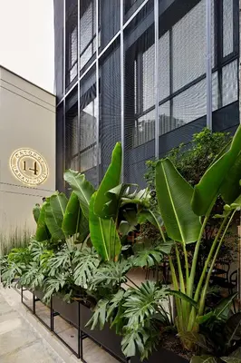 a row of plants in front of a building at 14 Urban Hotel in Medellín