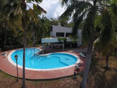 a swimming pool in front of a house with palm trees at Finca Galicia in Sopetran