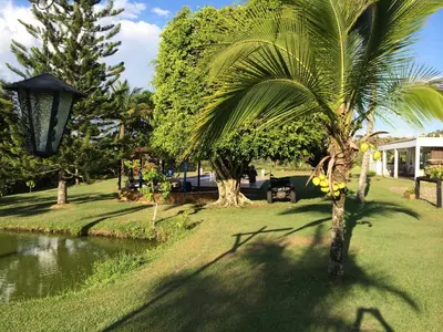 a palm tree in a yard next to a pond at Finca La Ranchera No. 1 in Tarso