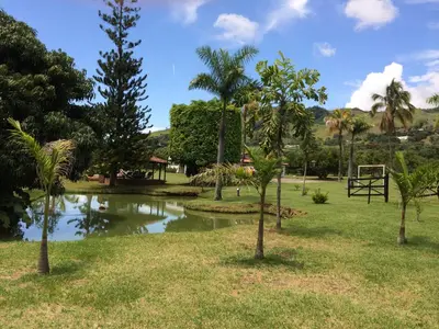 a park with palm trees and a pond at Finca La Ranchera No. 1 in Tarso