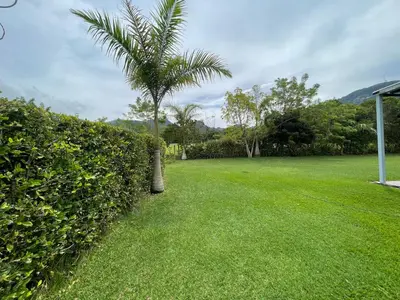 a palm tree in a yard next to a hedge at Finca La Ranchera No. 2 in Tarso