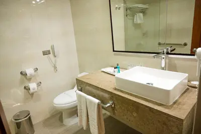 a bathroom with a sink and a toilet at Hotel San Fernando Plaza in Medellín