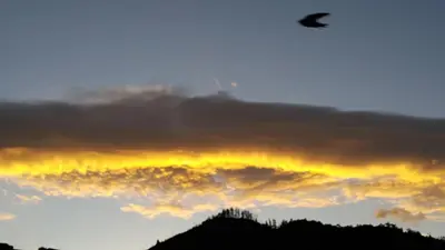 a bird flying in the sky at sunset at Apartamento Acogedor en el Retiro in El Retiro