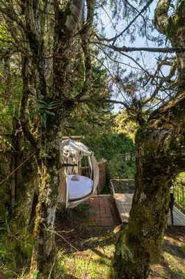 a camper is parked next to a tree at Levit Glamping - Hotel Guatapé Peñol in Guatapé