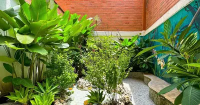 a garden with lots of plants and a bench at Hotel Casa Laureles in Medellín