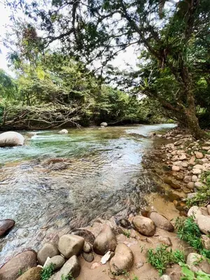 a river with rocks and trees on the shore at Hostal Vista Hermosa in San Rafael