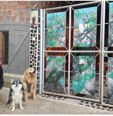 two dogs are sitting in front of a door at Hostal Vista Hermosa in San Rafael