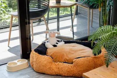 a stuffed animal is sitting in a dog bed at Loma Verde Aparthotel in Medellín