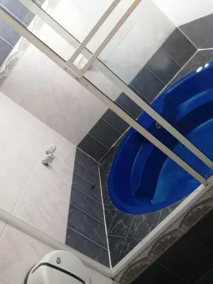 a bathroom with a toilet and a blue seat at Hotel Torreon De Rionegro in Rionegro