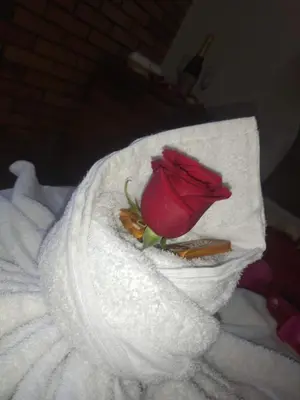 a red rose sitting on top of a towel at Hotel Torreon De Rionegro in Rionegro