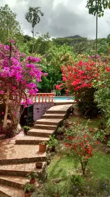 a garden with pink flowers and stairs next to a pool at Selvablanca Hostel in San Jerónimo