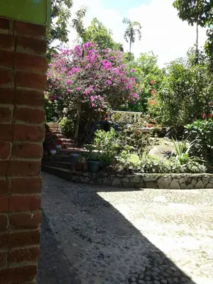 a garden with pink flowers and a brick wall at Selvablanca Hostel in San Jerónimo