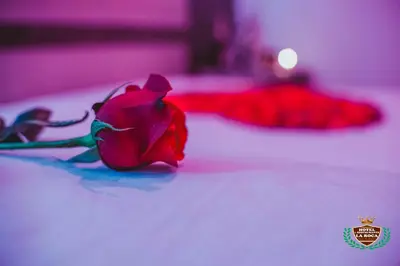 a red rose sitting on top of a bed at Hotel La Roca San Rafael in San Rafael