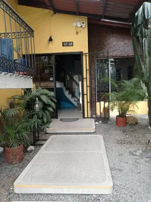 an entrance to a building with plants in front of it at Yellow House Hostel in Medellín