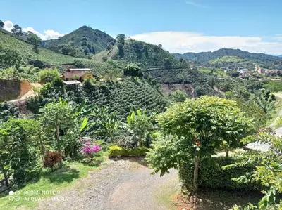 a view of a farm with trees and mountains at Alojamiento Rural Altos del Molino in Los Andes