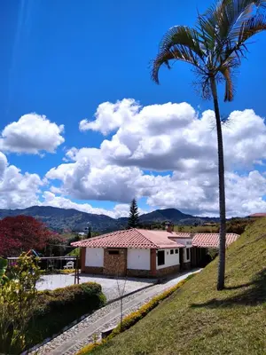 a palm tree and a building on a hill at CASA CAMPESTRE MONTECARLO Guatapé- desayuno a pareja in Guatapé