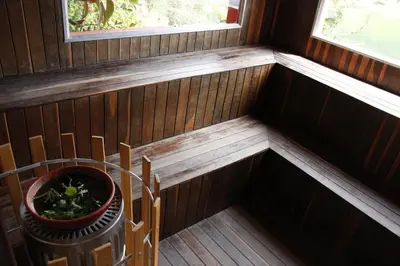 an empty room with a plant in a pot at Ecolodge Bahia del Peñón in Guatapé