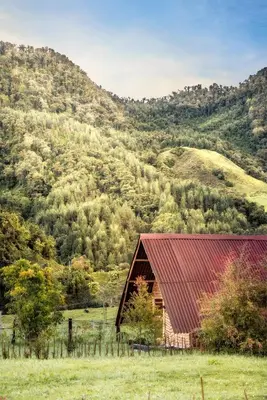 a barn in a field with a mountain in the background at Hostal La Laguna in Villamaría