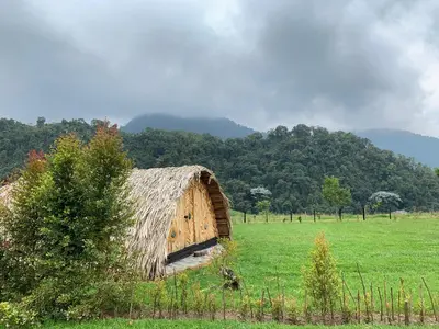 a barn with a grass roof in a field at Hostal La Laguna in Villamaría