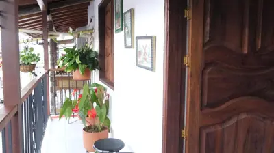 a hallway with potted plants and a wooden door at Vivienda turística mi sueño Jardín in Jardin