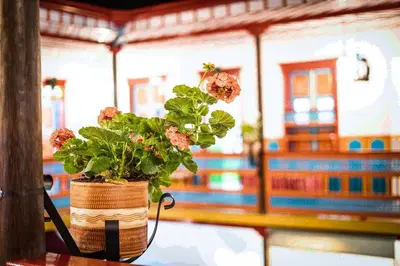 a potted plant sitting on top of a table at Jardín by Bernalo Hotels in Jardin