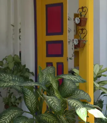 a yellow door with a plant in front of it at Casa de Luna in La Dorada