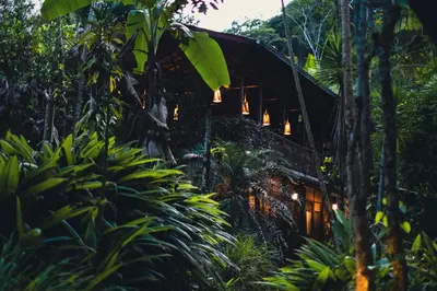 a house in the jungle with lights in the trees at Ritmo del Rio in San Rafael