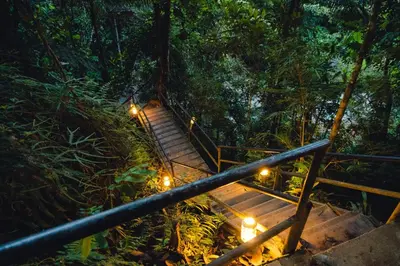 a set of stairs in a forest with lights at Ritmo del Rio in San Rafael