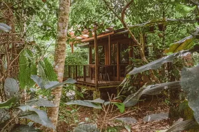 a tree house in the middle of the forest at Ritmo del Rio in San Rafael